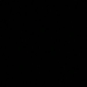 Meet your Posher, Lara